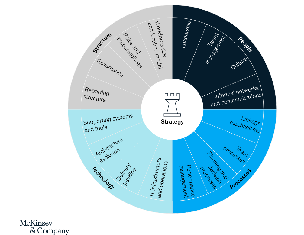 mckinsey-model.png