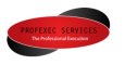 IT Business Analyst - Profexec Services Kft.